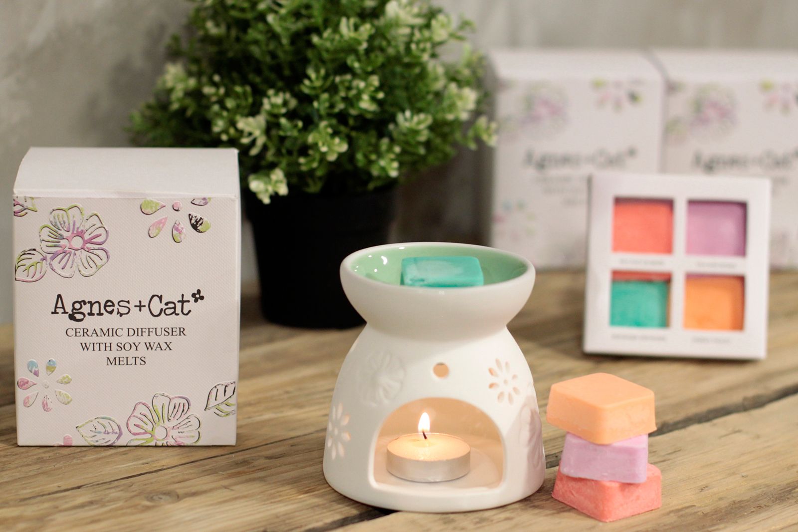 Wax Melter with Four Soy Wax Melts